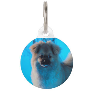 Médaillon Pour Animaux Chiens Spaniel Tibétain.