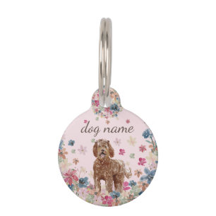 Médaillon Pour Animaux Chiot chien Labradoodle