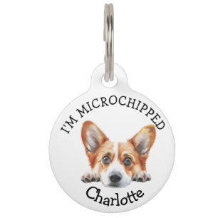 Médaillon Pour Animaux Chiots Corgi Personnalisé Or Clair