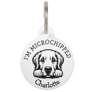 Médaillon Pour Animaux Chiots Labrador Curieux Personnalisé