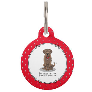 Médaillon Pour Animaux Chocolat Lab Labrador Retriever Pourri Gâté
