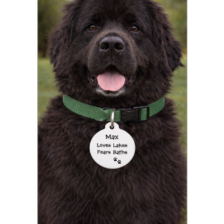 Médaillon Pour Animaux Citation drôle avec numéro de téléphone | Nom pers