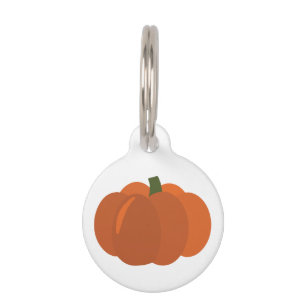 Médaillon Pour Animaux Citrouille