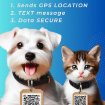 Code QR de balise de chien rond