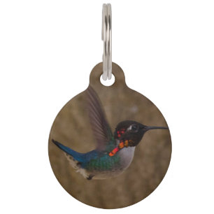 Médaillon Pour Animaux Colibri en vol
