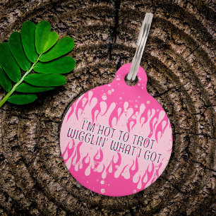 Médaillon Pour Animaux Collier Fun Wigglin' Dog Tag – Flammes Roses & Att