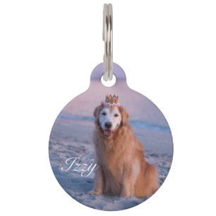 Médaillon Pour Animaux Collier personnalisé avec photo de l'animal et pla