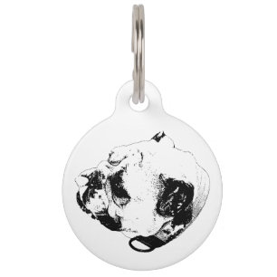 Médaillon Pour Animaux Compagnon Chaleureux Audacieux