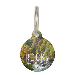 Médaillon Pour Animaux Couleur d'automne dans le parc d'état d'Ohiopyle