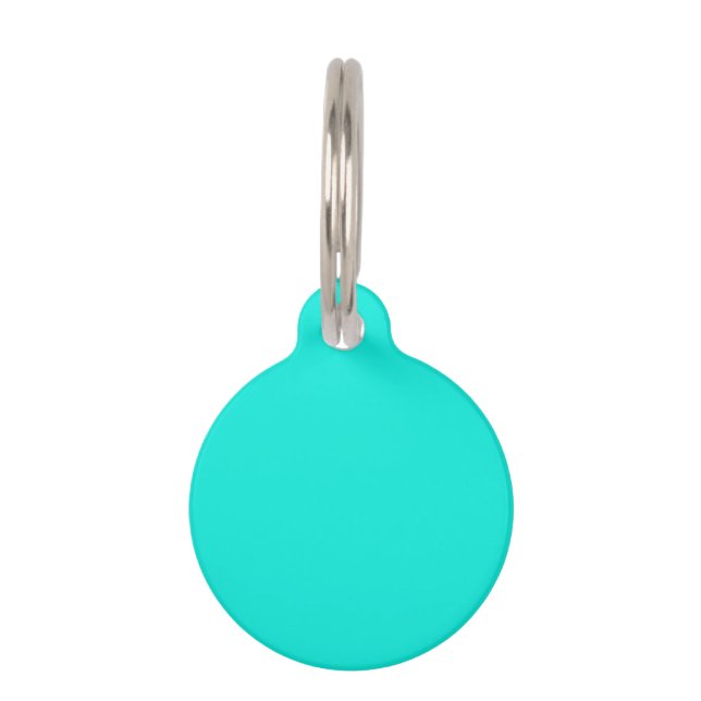 Médaillon Pour Animaux Couleur solide : Aqua brillant (Devant)