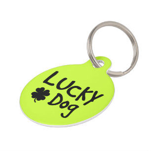 Médaillon Pour Animaux Coutume chanceuse de chien de shamrock vert