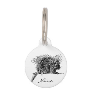 Médaillon Pour Animaux Cute Bristly Hedgehog Thunder_Cove