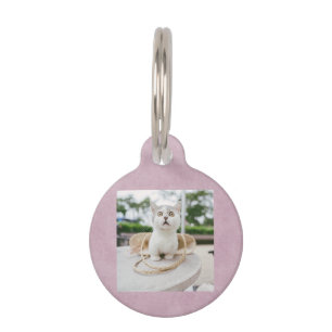 Médaillon Pour Animaux Cute Cat Photo et QR Code   Tag d'ID animal de com