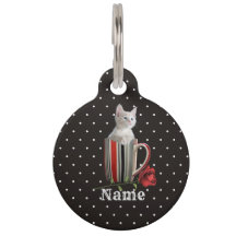 Cute Chat Kitten Animaux de compagnie Amateurs Cad