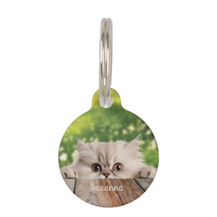 Médaillon Pour Animaux Cute Perse Peeking Chat