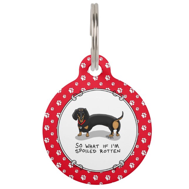 Médaillon Pour Animaux Dachshund pourri (S noir & tan) mignon chien (Devant)