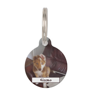 Médaillon Pour Animaux Détails de l'animal et photo