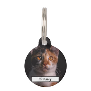 Médaillon Pour Animaux Détails de l'animal et photo