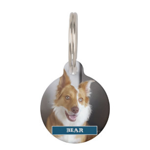 Médaillon Pour Animaux Détails de l'animal et photo