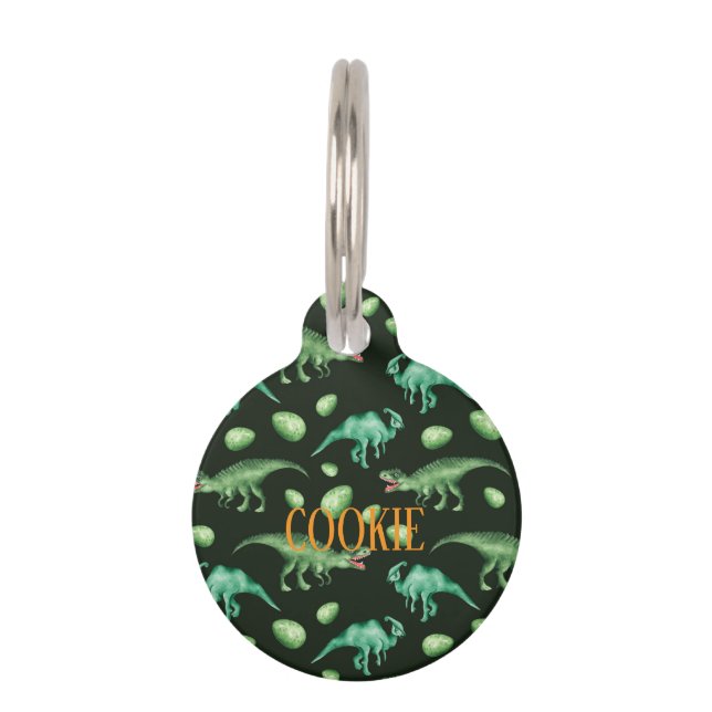 Médaillon Pour Animaux Dinosaure (Devant)