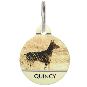 Médaillon Pour Animaux Doberman dans des roseaux sèches peinture image