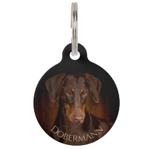 Médaillon Pour Animaux Dobermann