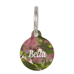 Médaillon Pour Animaux Double floraison cerisier III printemps fleuri