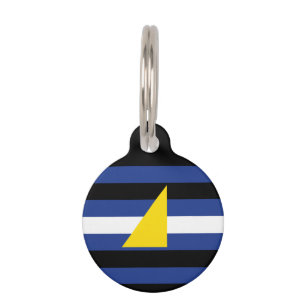 Médaillon Pour Animaux Drapeau de fierté des sports aquatiques