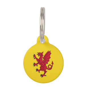 Médaillon Pour Animaux Drapeau de Somerset