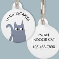 Escapé Cat intérieur bleu gris