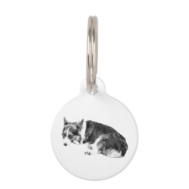 Médaillon Pour Animaux Étiquette Corgi, Pas Doux (Devant)