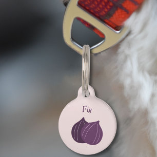Médaillon Pour Animaux Étiquette d'animal de compagnie à la figue