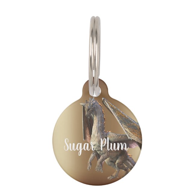 Médaillon Pour Animaux Étiquette de chien/chat perdu en bronze dragon (Devant)