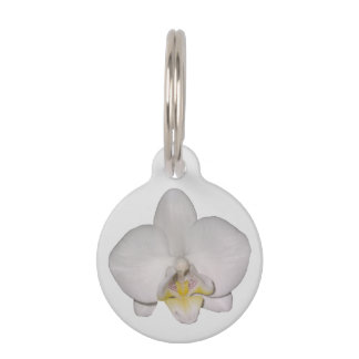 Médaillon Pour Animaux Étiquette de chien Orchidée Blanche