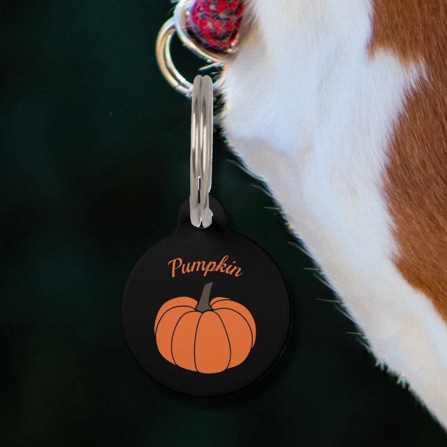 Médaillon Pour Animaux Étiquette de compagnie de citrouille (Pumpkin Pet Tag)
