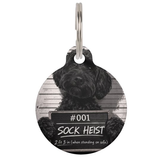 Médaillon Pour Animaux Étiquette de compagnie de Cockapoo drôle Mugshot (Devant)