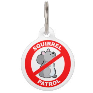 Médaillon Pour Animaux Étiquette d'identification d'animal familier de