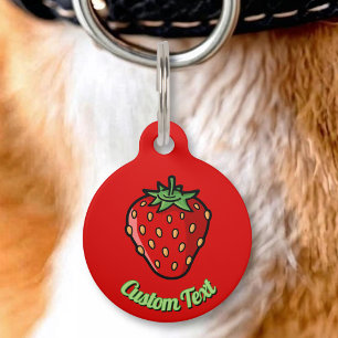 Médaillon Pour Animaux Étiquette d'identification de compagnie avec icône