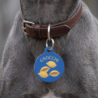 Médaillon Pour Animaux Étiquette d'identification personnalisée pour chie