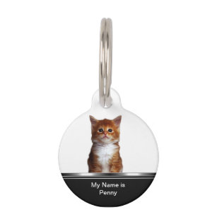 Médaillon Pour Animaux Étiquette Idenification de chat d'animal familier