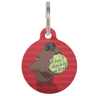 Médaillon Pour Animaux Étiquette Jouer à la balle maintenant - ID animal