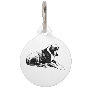 Médaillon Pour Animaux Étiquette Lean Solide et Sûre