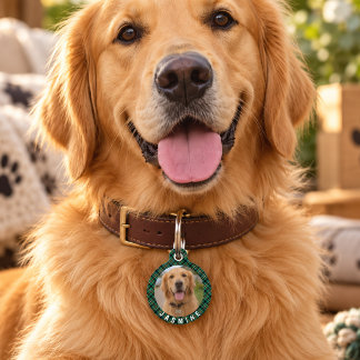 Médaillon Pour Animaux Étiquette personnalisée pour animaux de compagnie