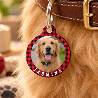 Médaillon Pour Animaux Étiquette Phonétique Personnalisée Photo Nom Tissu