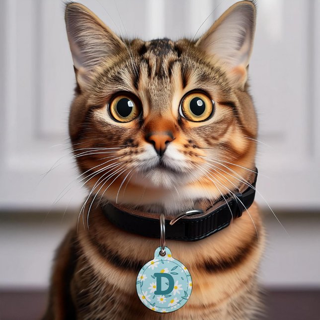 Médaillon Pour Animaux Faisées sucrées personnalisées (Créateur téléchargé)