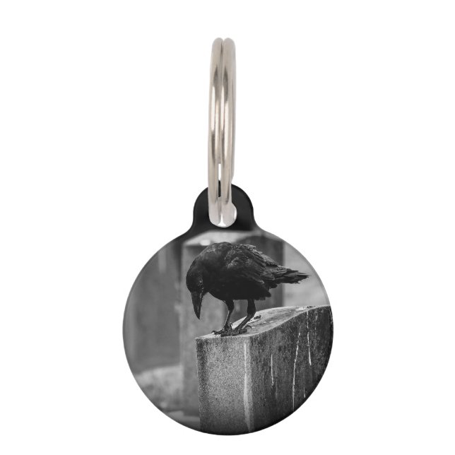 Médaillon Pour Animaux Falln Cemetery Crow (Devant)