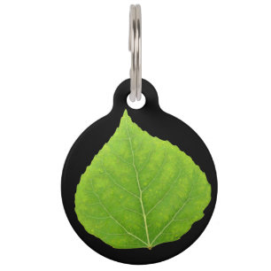 Médaillon Pour Animaux Feuille verte #11 d'Aspen