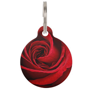 Médaillon Pour Animaux Fin lumineuse de rose rouge
