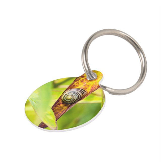 Médaillon Pour Animaux fixation calme (Côté )