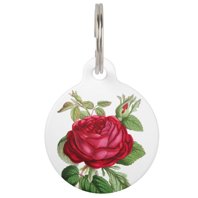 Médaillon Pour Animaux Fleur de rose rouge d'identification de l'animal  (Devant)